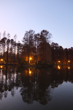 2014/12/14_夕暮れの別所沼公園