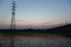 2016/06/18_水田の夕暮れ