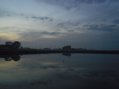 2016/11/20_溜め池の夕暮れ