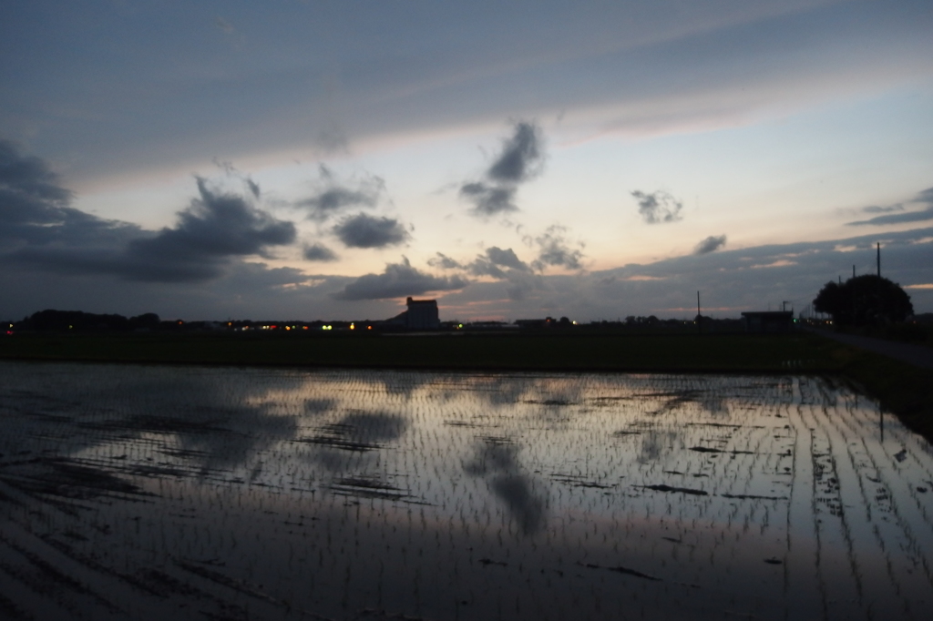 2015/06/28_水田の夕暮れ