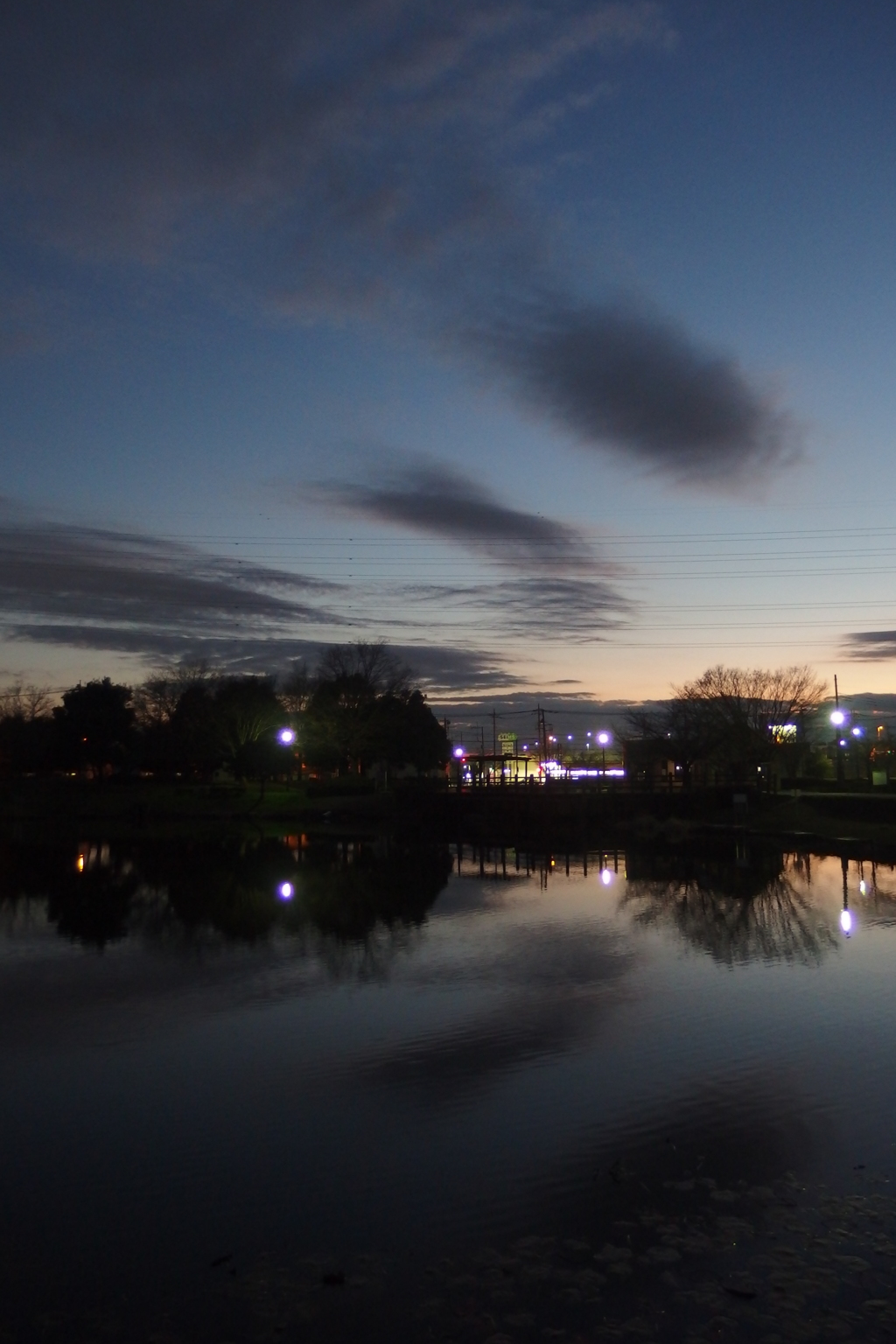 2015/12/30_西城沼公園の夕暮れ