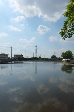 2015/04/29_水田に雲
