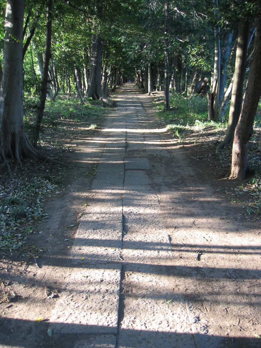 2017/05/04_神明神社参道