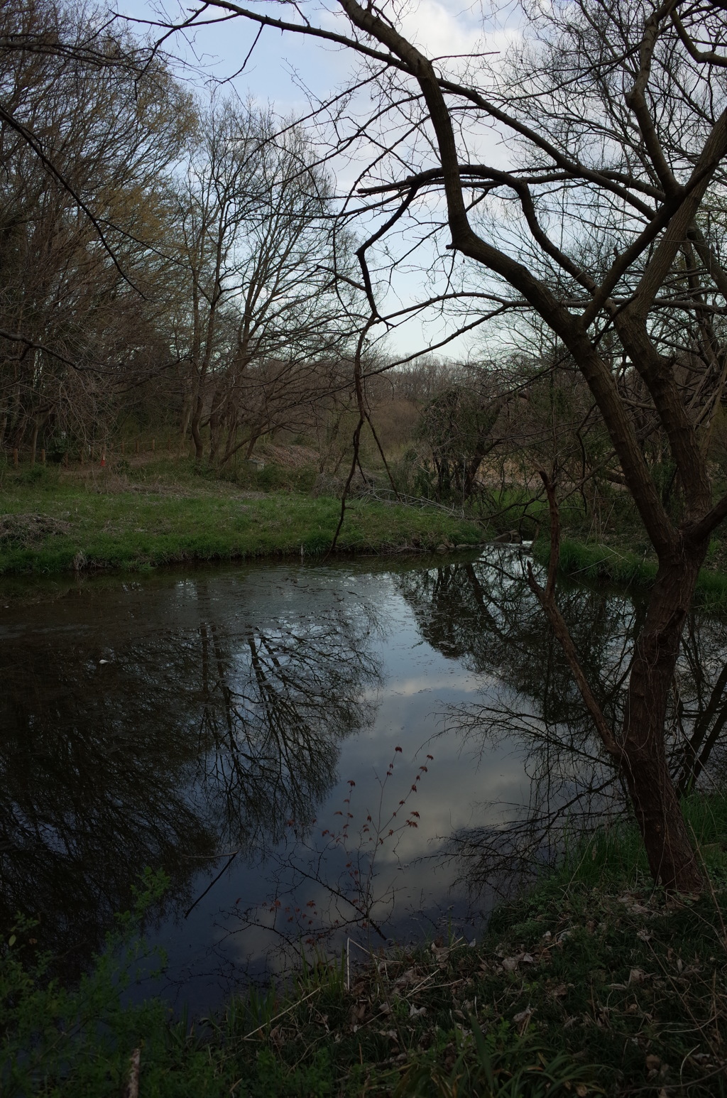 2016/03/26_北本自然観察公園
