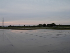 2017/05/03_水田の夕暮れ