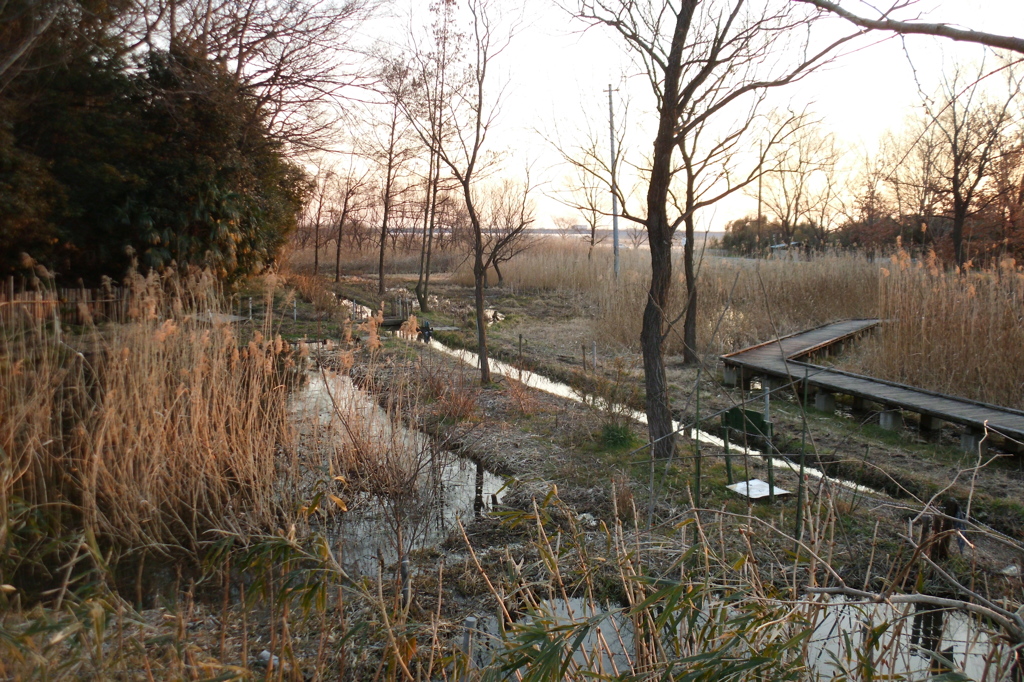 2015/02/11_ホタルの里