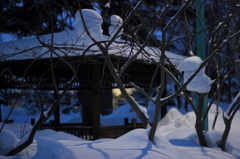 常磐公園。