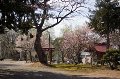 神社。