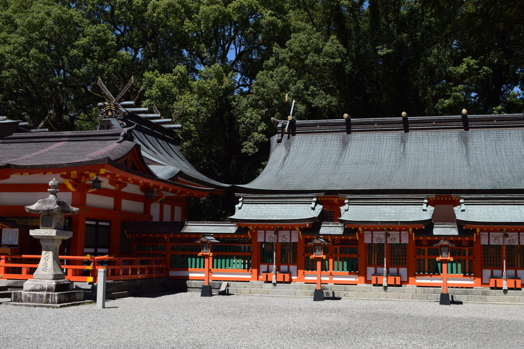DSC_0657 速玉大社H26.9