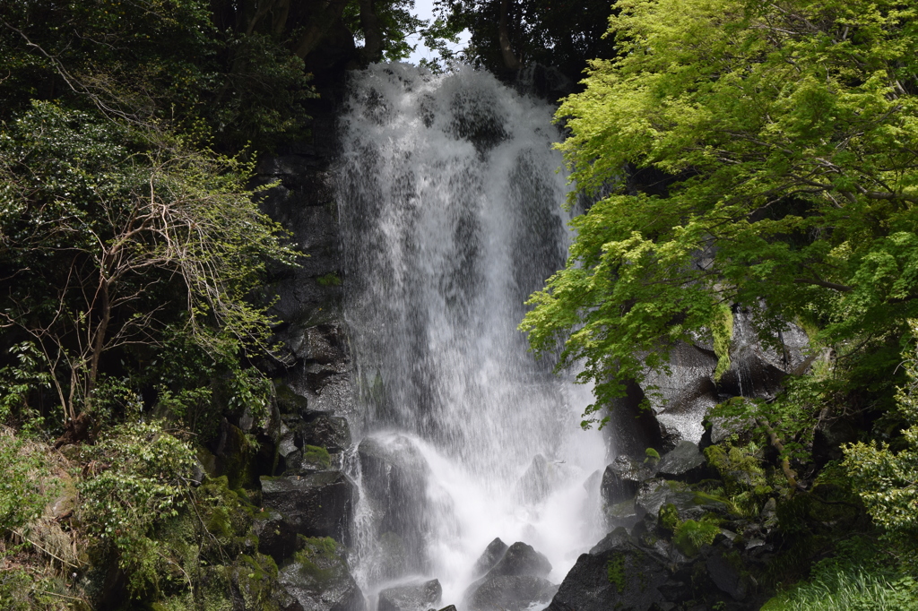 DSC_0426　朝日滝H26.5