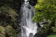 DSC_0426　朝日滝H26.5