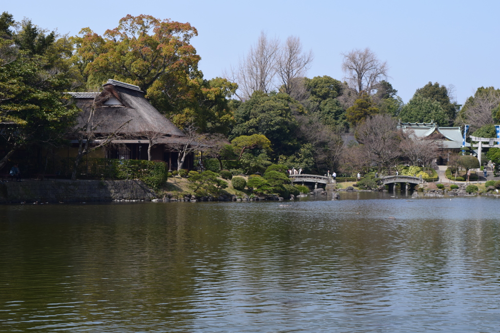 DSC_0825 水前寺成趣園