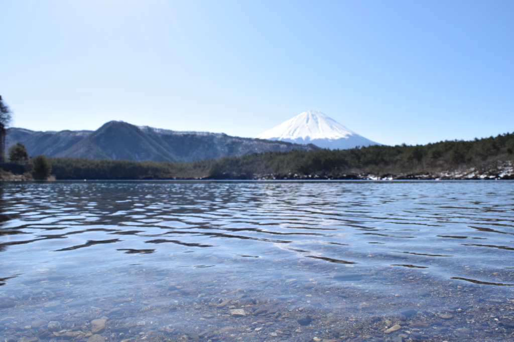 DSC_0277　西湖H26.3