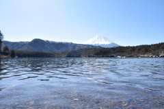 DSC_0277　西湖H26.3