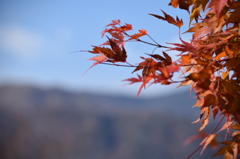 DSC_0450 中禅寺湖H26.11