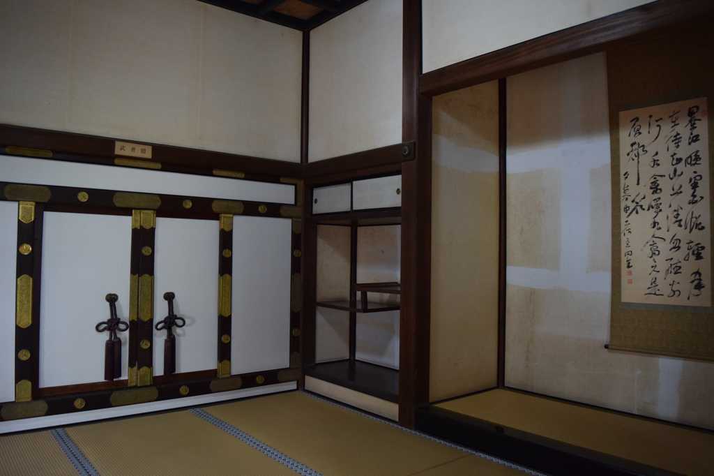 DSC_0371　高知城H26.7