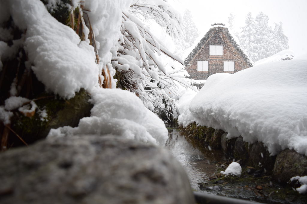 DSC_0410　白川郷H27.2