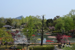 DSC_0395　となみH26.4