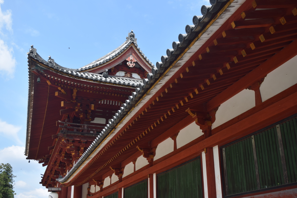 DSC_1057 東大寺H27.5