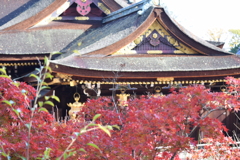 DSC_1167　北野天満宮H29.11