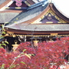 DSC_1167　北野天満宮H29.11