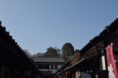 DSC_0904 桜の小路