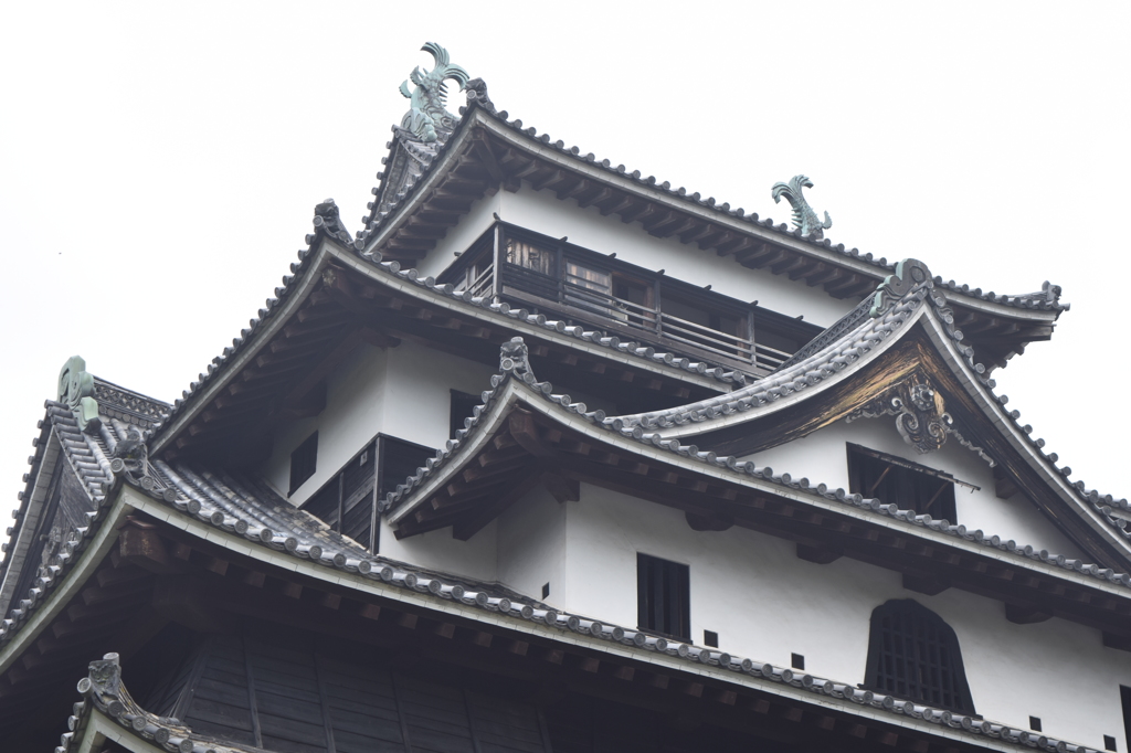 DSC_1066 松江城H27.7