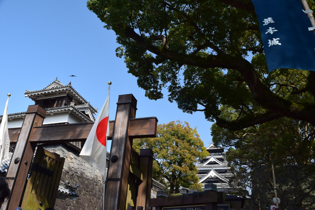 DSC_0879　熊本城H27.3