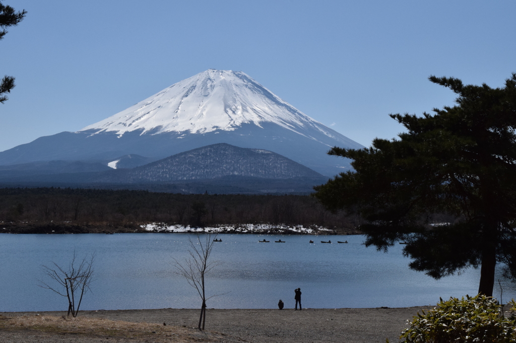 DSC_0303　精進湖H26.3