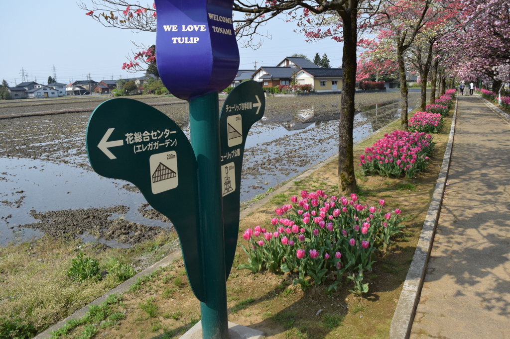 DSC_0333　となみH26.4