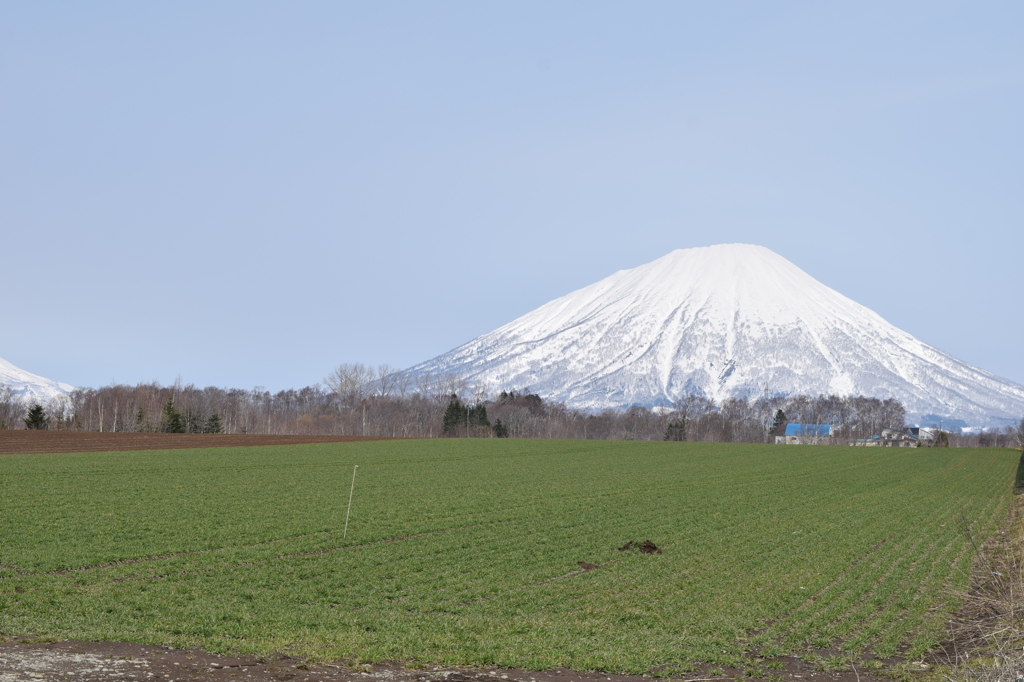 DSC_1390　蝦夷富士H28.4