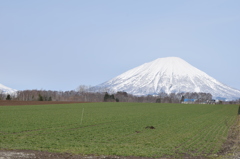 DSC_1390　蝦夷富士H28.4