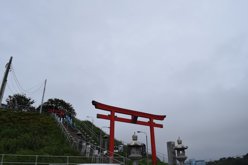 DSC_1064 H27.8蕪島
