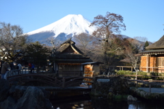 DSC_0210　忍野八海H26.3
