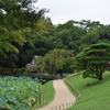 DSC_1487　岡山後楽園H28.9