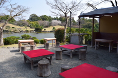 DSC_0824 水前寺成趣園