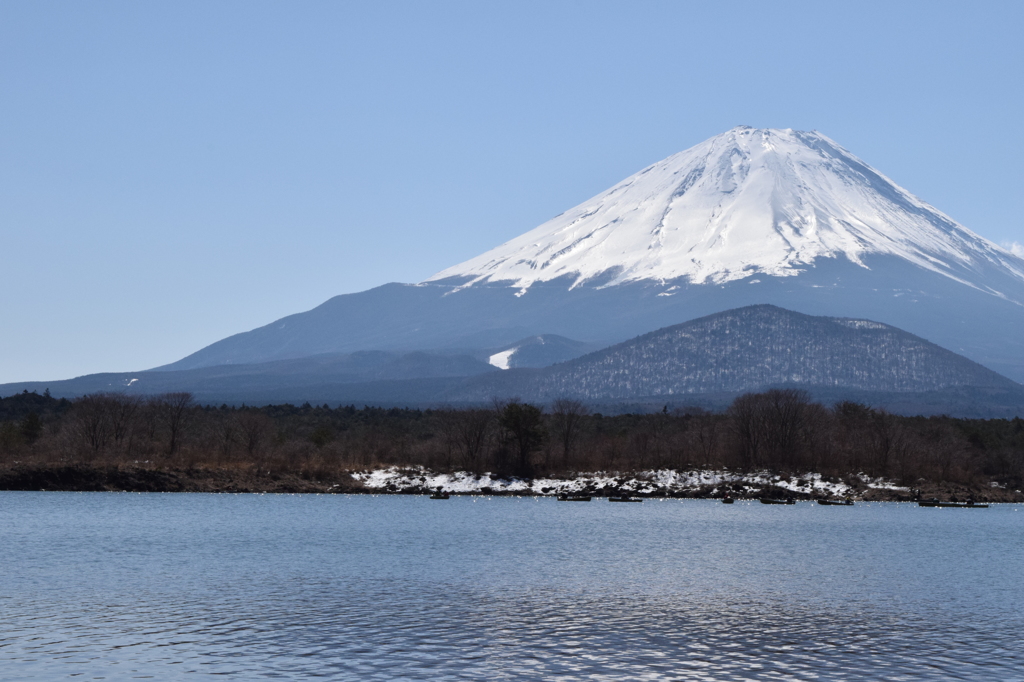 DSC_0297　精進湖H26.3