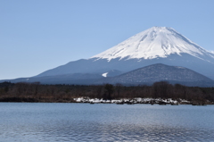 DSC_0297　精進湖H26.3