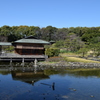 DSC_1310 白鳥庭園H30.3