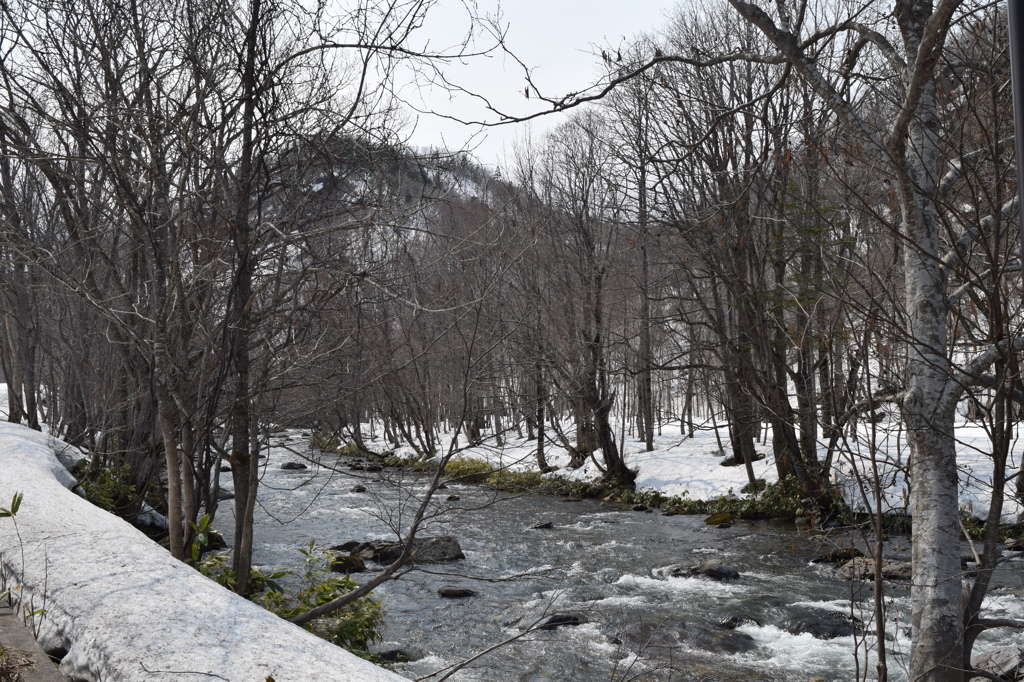 DSC_1393　雪解けの小川