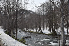 DSC_1393　雪解けの小川