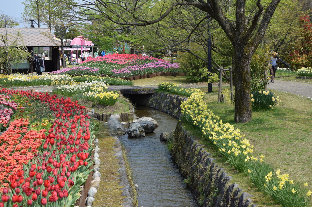 DSC_0343　となみH26.4