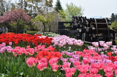 DSC_0349　となみH26.4
