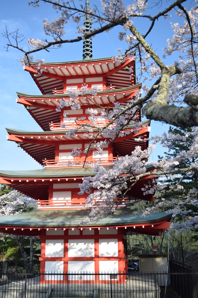 DSC_0406 新倉浅間神社H27.4