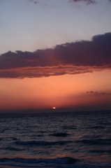DSC_0507 伊良湖岬H27.2