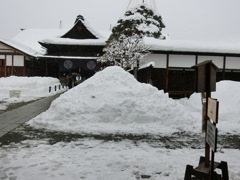 CIMG4530　高山・陣屋H27.1