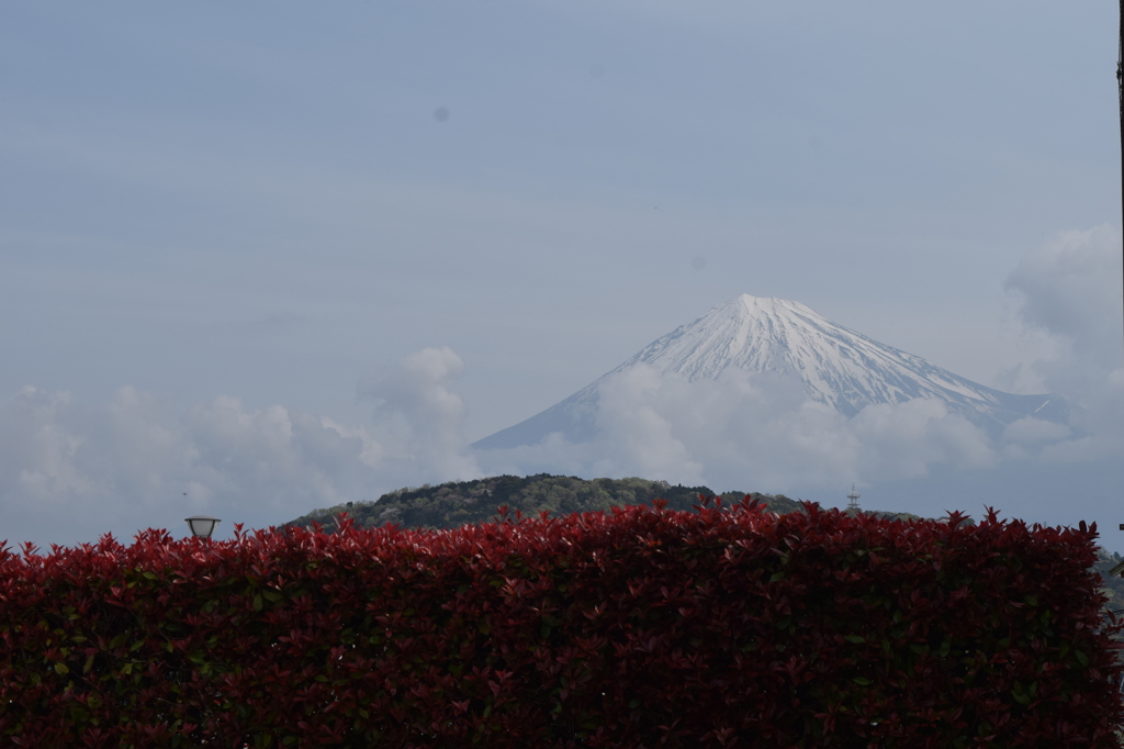 DSC_1243富士川楽座より