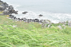 DSC_1060 H27.8蕪島