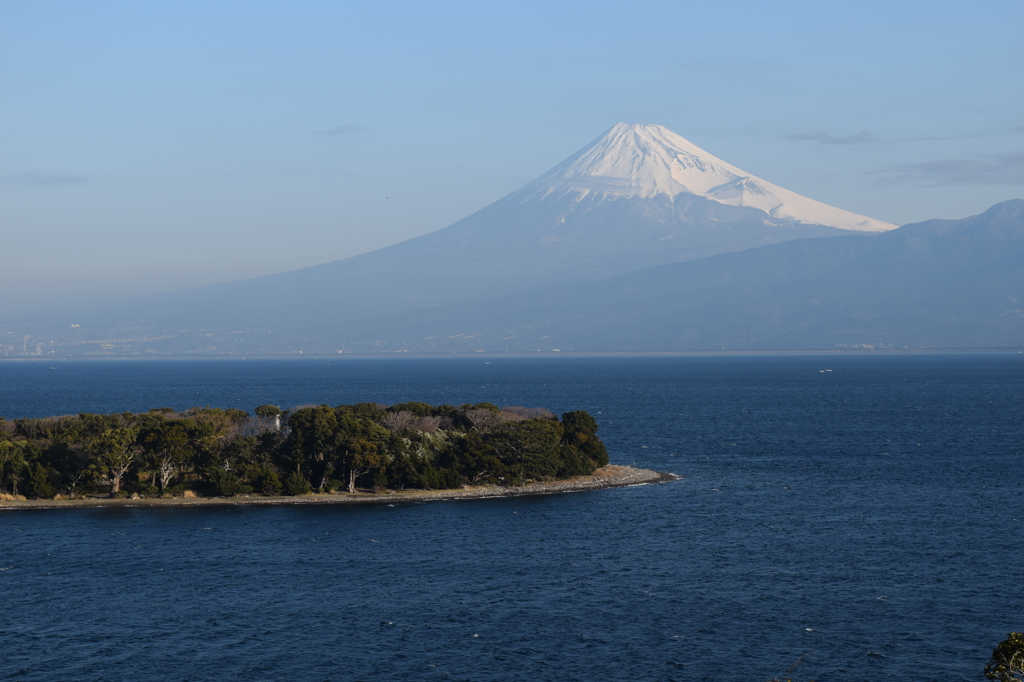 DSC_0548 大瀬崎H27.2