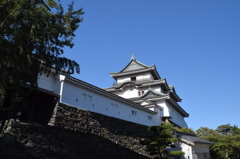 DSC_0426　和歌山城H26.9